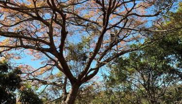 Vila do Salitre - Casa a 5 min de lagos e cachoeiras - Foto 3