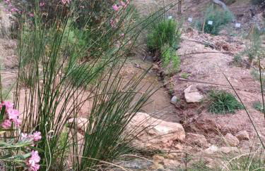 Finca Rolani,beheizbarer Pool, absolut Privat - Foto 65