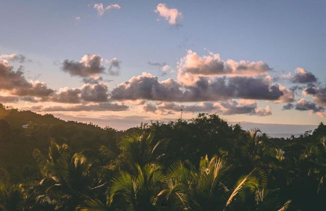 Family Suite - Apartment 1 in Villa Coconut - Photo 30
