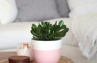 ISTMO - Quiet, Cosy Apartment with Panorama Sunset - Photo 10