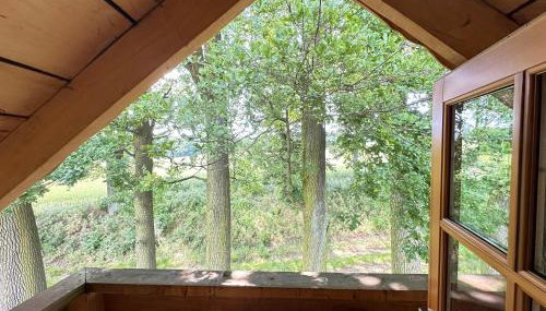 Domki Machnice - Foto 3, Garden view