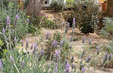 Villa Sa Codolar - Foto 41