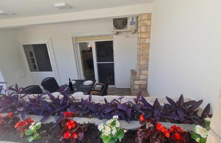 Apartman "Flower Garden" - Foto 14