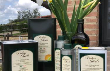 Podere Ghiole - Foto 8