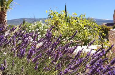 Les Gites du Mont Ventoux - Foto 73