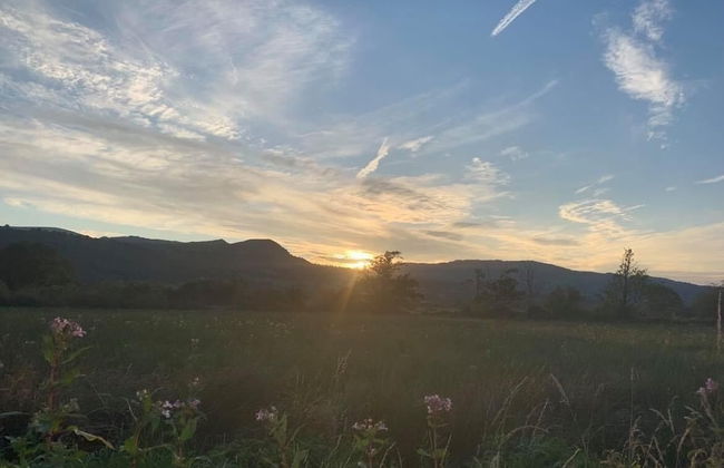 Erw Glas Glamping and Camping - Photo 44