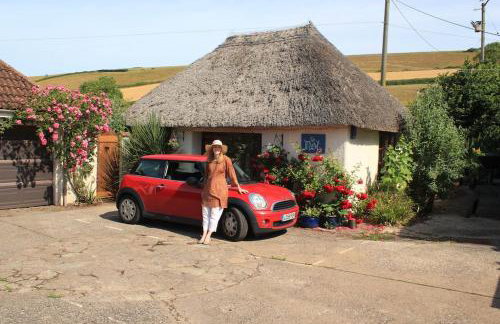 The Nest - Thatched seaside country cottage for two - Foto 7