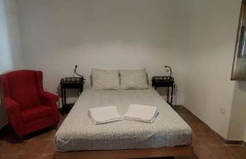 Solar Verbena - Foto 7