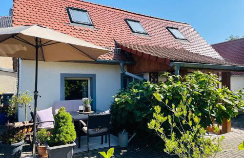 Ferienhaus Neuseenland - Foto 1