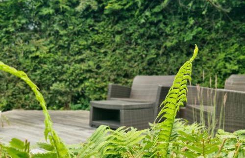 Apartmenthaus Ostseeluft - Foto 7