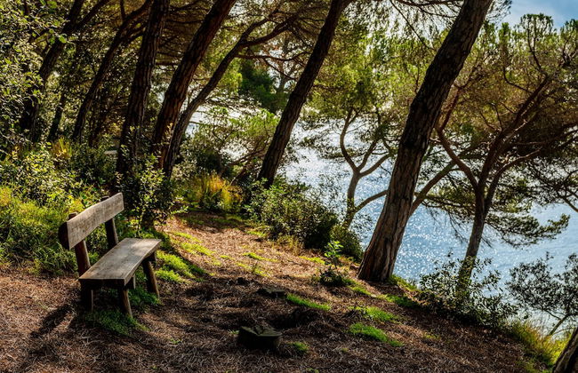 Albamar Apartaments - Foto 24