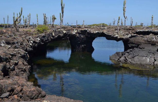 Isabela Island Bike Rental - Photo 1