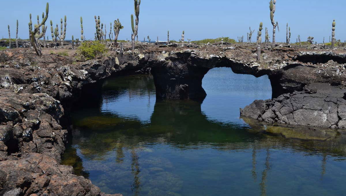 Tunnels de l'île Isabela