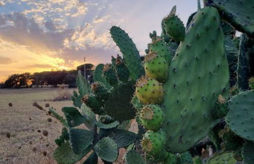 Accogliente villa con piscina - Foto 18