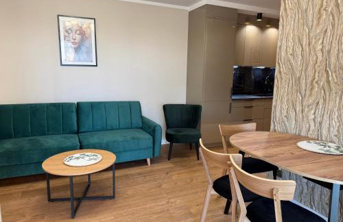 Nowa Dzielnica Cztery Apartamenty przy Tężni - Foto 44