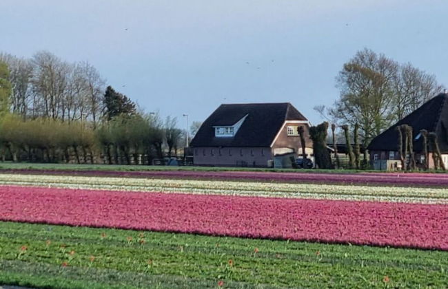 Country Life Comfortable Holiday Residence - Foto 28