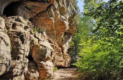 Gite Chez Livia Hautes Vosges - Foto 61