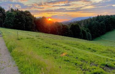 Panorama Studio im Schwarzwald - Foto 33