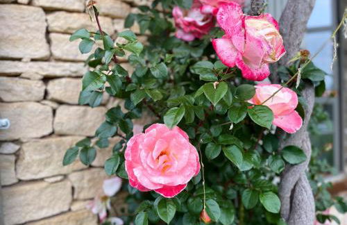 Mas La Rose Sauvage - magnificent Luberon views - Foto 61