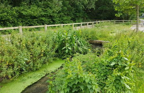 Streamside Apartments - Foto 56