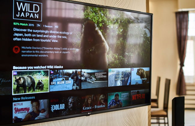 Nikita Apartment - Foto 43