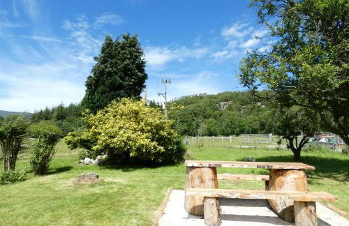 Abergwynant Farm Glamping & Apartments - Foto 16