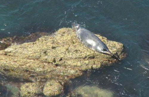 Ysgubor y Tanybryn The barn with a view and a spa. - Photo 19