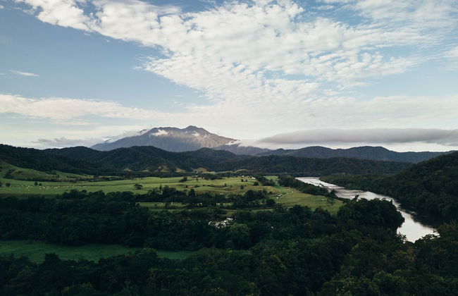 Daintree Ecolodge - Photo 23
