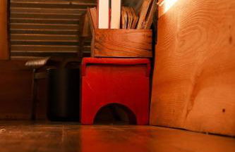 Crows Nest Treehouse At El Mistico Ranch - Foto 40