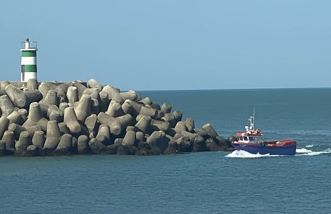Bayview Nazaré - Foto 35