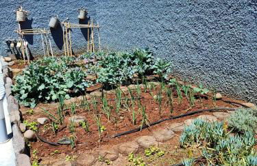 Cottage Pearl - Rural Holiday Experience by SeaPearl - Foto 13