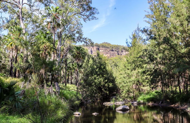 BIG4 Carnarvon Gorge Holiday Park - Foto 44