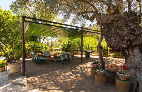 Agroturismo Son Penyaflor - Foto 8