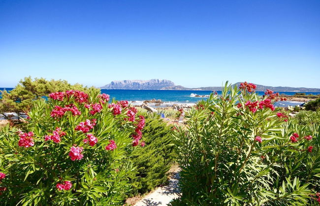 Villa Magica - Foto 22