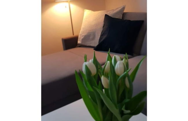 Holiday Apartment Bathmann - Foto 2