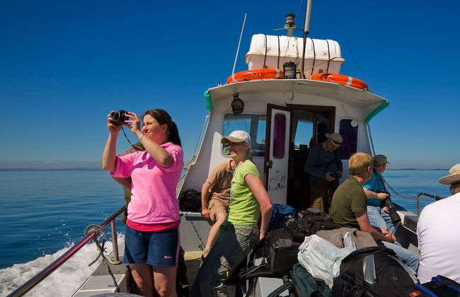 Saltee View Holiday Home - Foto 23