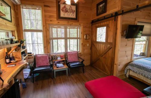 Dreamy Treehouse Getaway Dog FriendlyDisc Golf - Foto 12