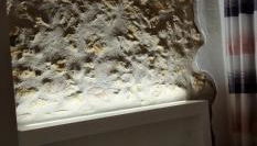 La Casa dei DOGI - Foto 3