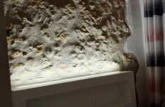 La Casa dei DOGI - Foto 3