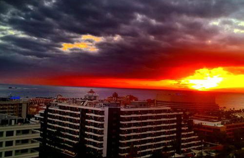 playa honda luxury - Photo 25