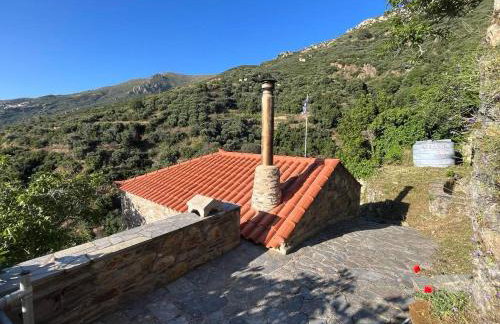 Paradisi Village - Foto 42