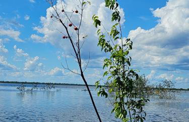 Premium Amazon Jungle Lodge - Foto 47