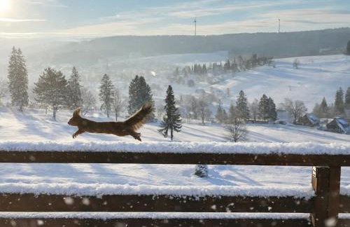 FreiRaum Panorama-Appartement mit Pool & Sauna - Foto 18