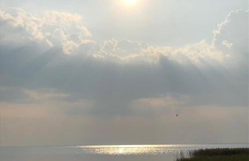 Ferienhaus am Gutspark 3, Klausdorf, ca 250 m bis zur Badestelle - Foto 8