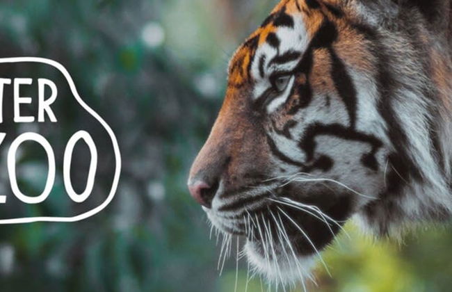 Lion House Chester - Very Near Zoo Ideal for Families - Photo 16