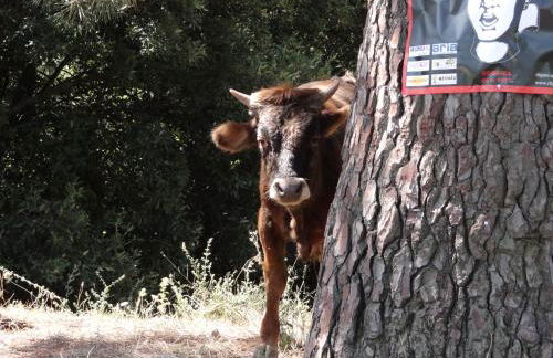 Résidence EMILIA - Foto 79