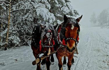 Zacna Chata domek z jacuzzi na wyłączność - Photo 16