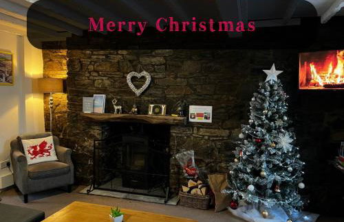 The Cwtch, Log Fire, Sleeps 6, Nr Zip World, Brecon and Bike Park Wales - Photo 65