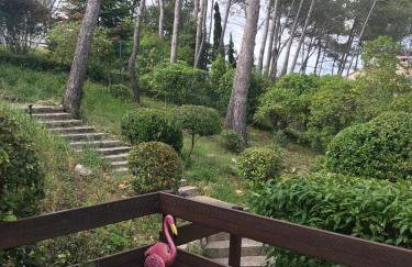 Independent studio st Clement of rivers 5 mn montpellier - Foto 21