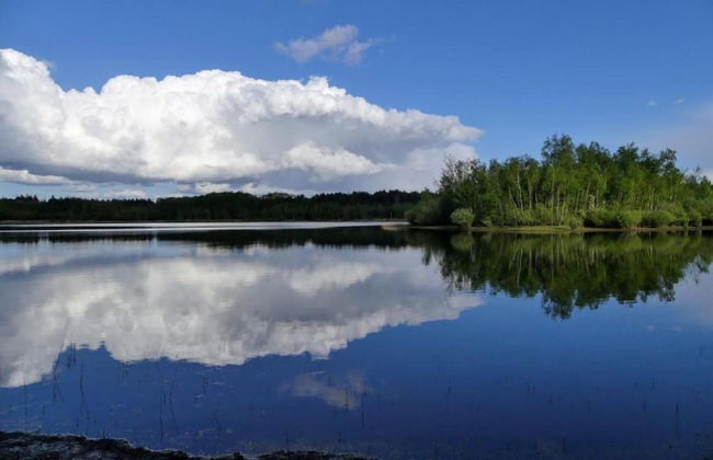 Tranquil Retreat in Appelscha - Foto 28